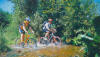 Sauerland: Bike Area