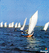 aveirorota.gif (52914 bytes)