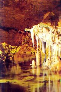 Cuevas dels Hams
