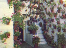 Een typische patio in C�rdoba 